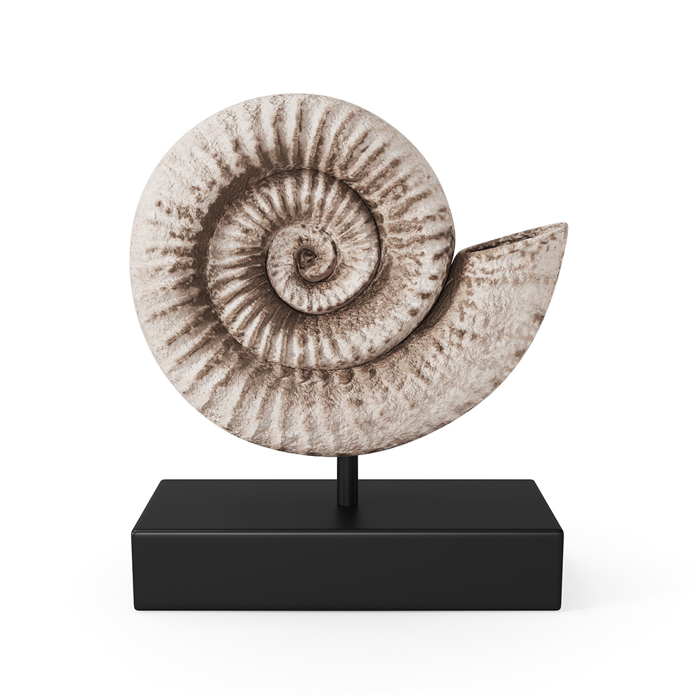 Fossil Shell - 3D Model ()